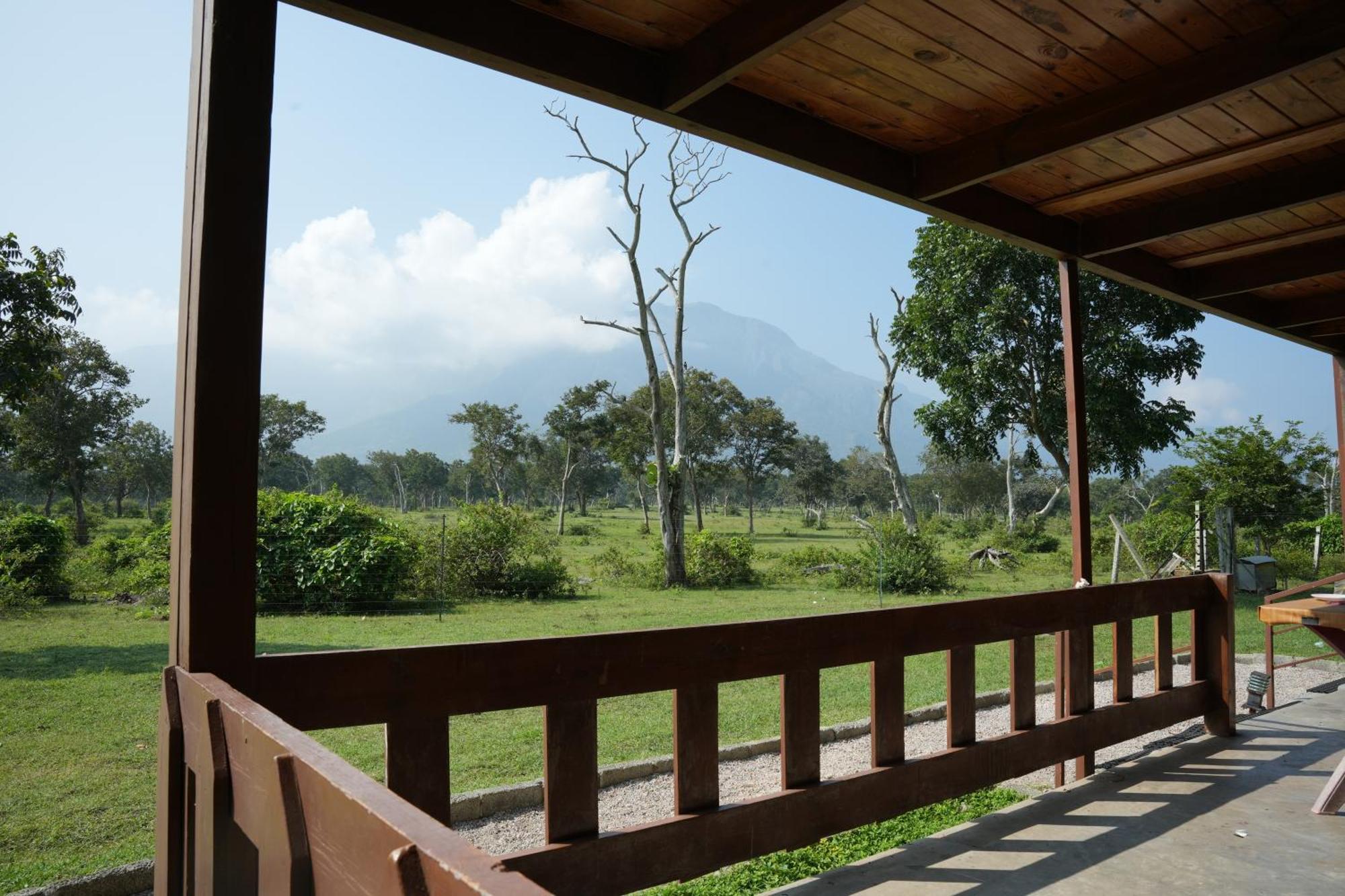 Labdhi Resorts Masinagudi Esterno foto