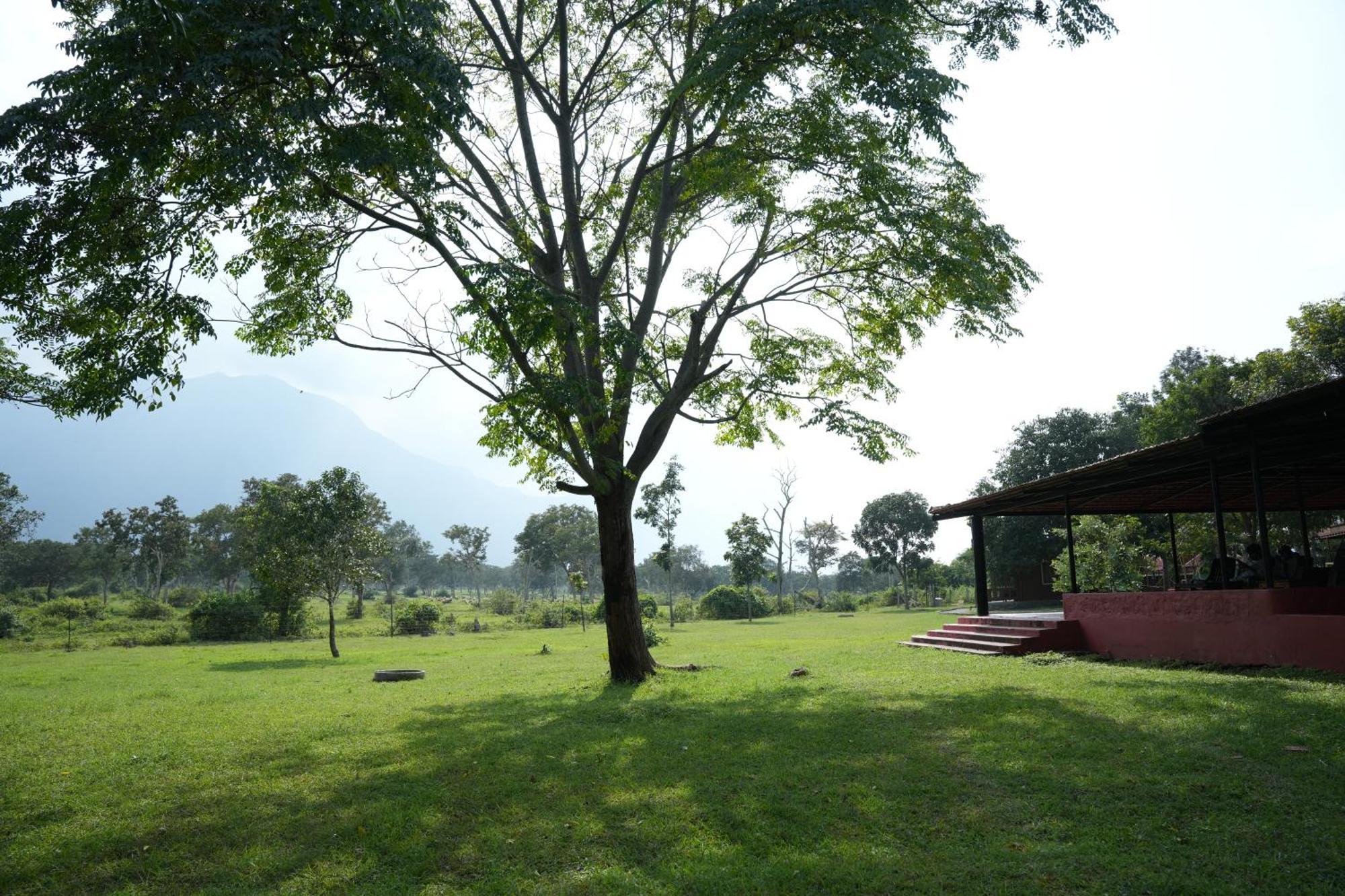 Labdhi Resorts Masinagudi Esterno foto